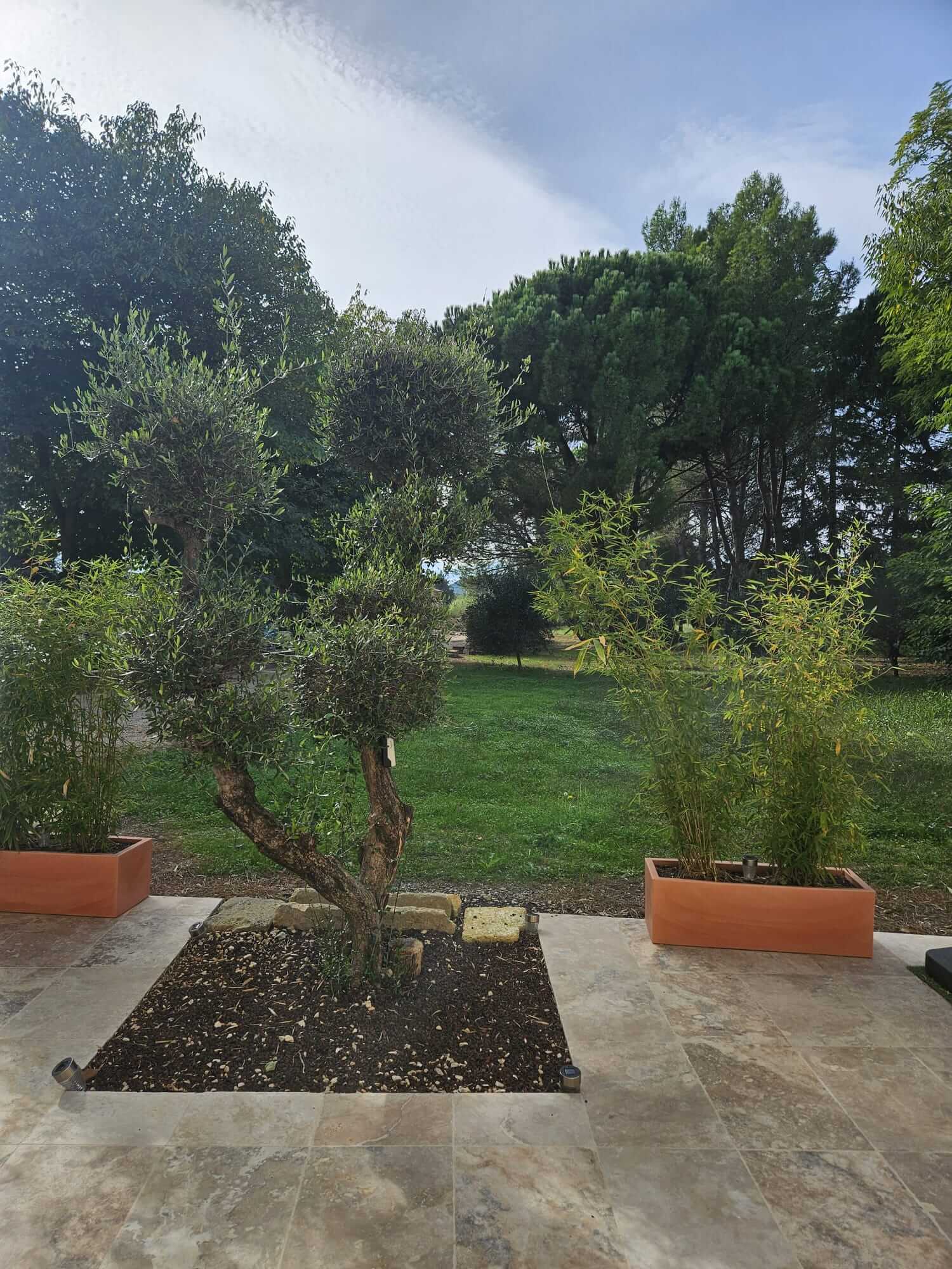 vue jardin vue de la terrasse.